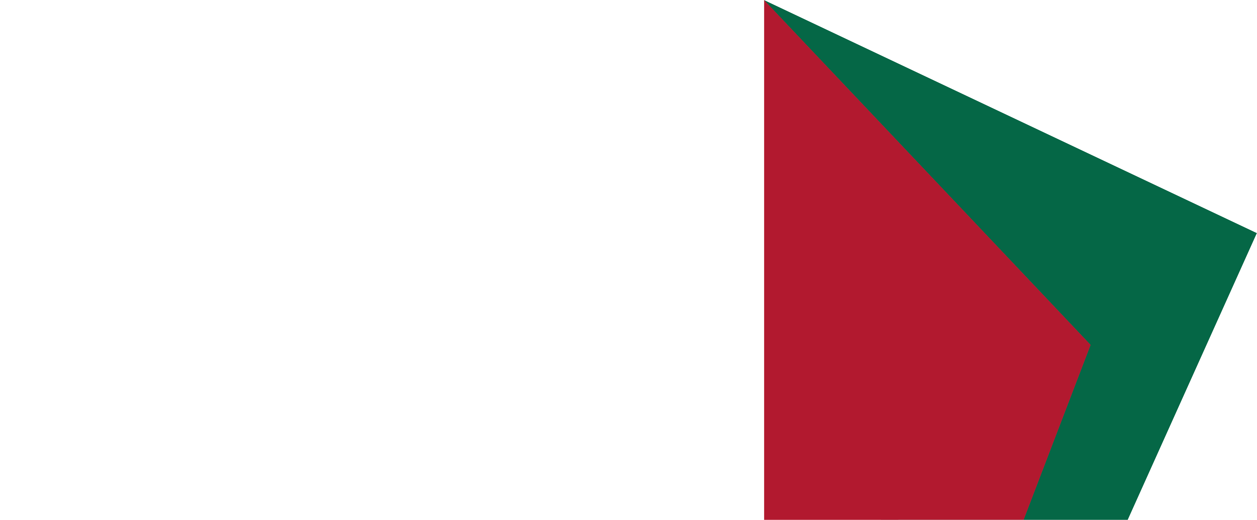 Instituto Portugu&ecirc;s de Arte e Cultura